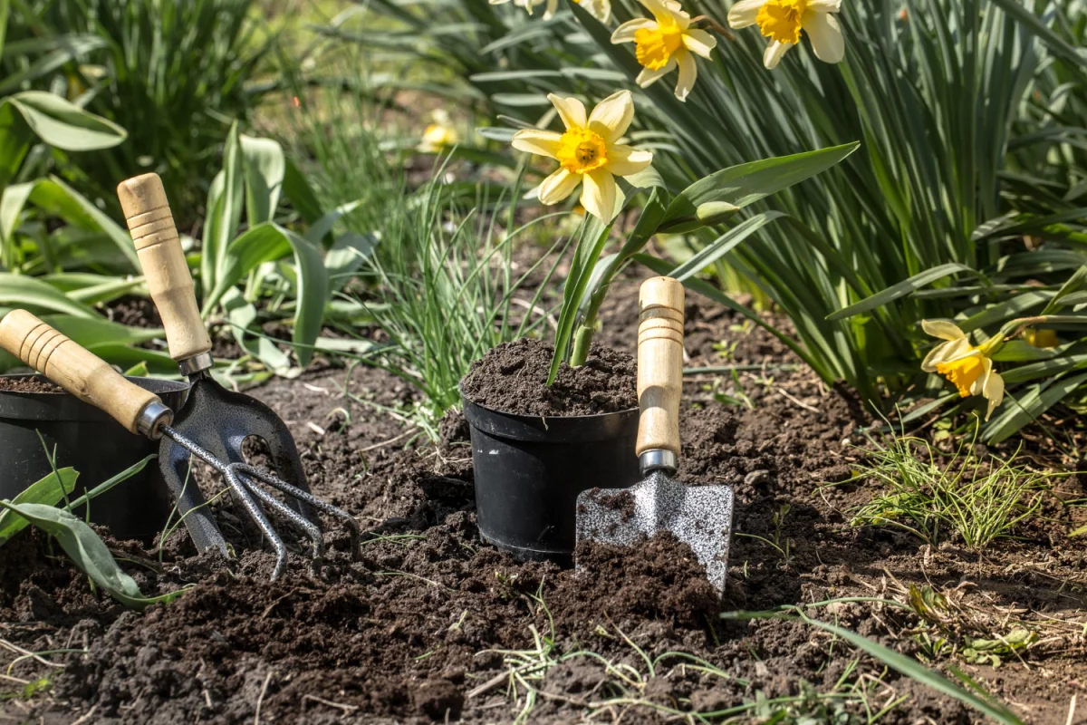 Szkolenia kupisz obecnie w sklepie internetowym: Jak wybrać najlepsze kursy dla siebie?