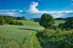 Wykończenia zewnętrzne i elewacje — jak uczą tego na kursie